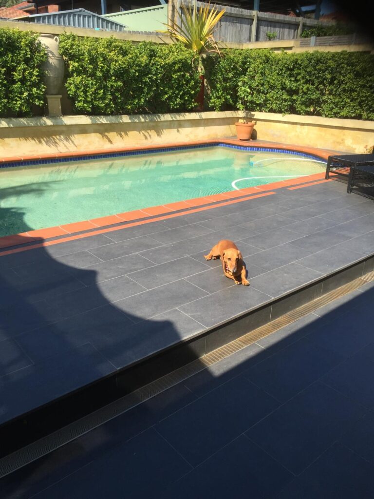 PHOTO-2025-02-18-01-15-10 2